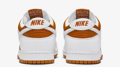 Nike-Dunk-Low-Reverse-Curry-2024-5