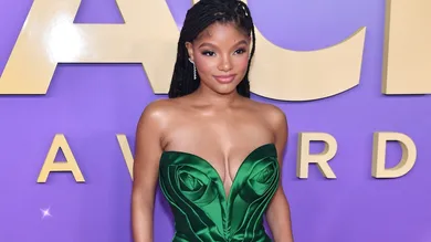 55th NAACP Image Awards - Red Carpet