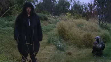 talking north west video