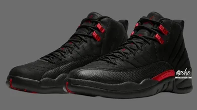 Air-Jordan-12-Bloodline-CT8013-060-2025