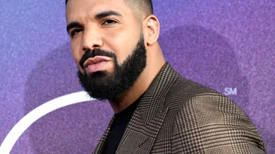 drake companies and llcs