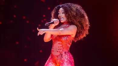 Syndication: The Commercial Appeal