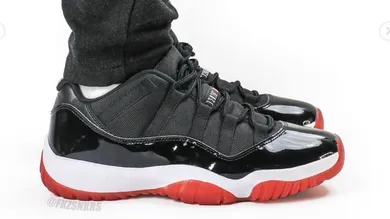 bred 11 new