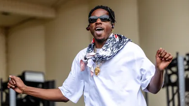 2023 Lollapalooza Festival