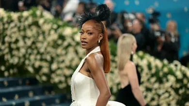 The 2025 Met Gala Celebrating "Superfine: Tailoring Black Style" - Arrivals