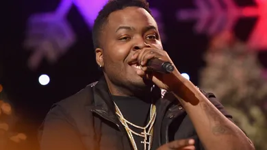 2015 Hollywood Christmas Parade