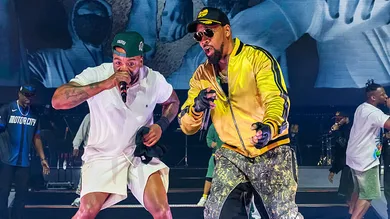 Wu-Tang Clan In Concert