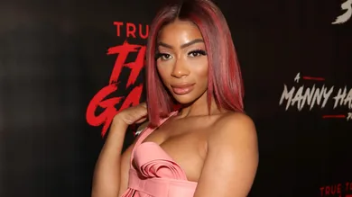 Tommie Lee Accused Bloodying Fan Gossip News
