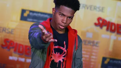 World Premiere Of Sony Pictures Animation And Marvel's "Spider-Man: Into The Spider-Verse" - Arrivals