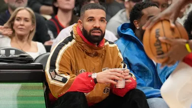 What Is Drake Project Bot