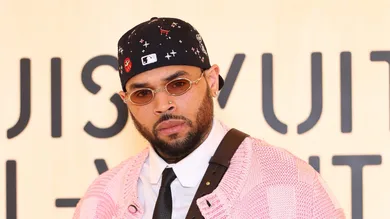 Chris Brown Honorary Doctorate Visual Performing Arts