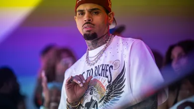 Chris Brown Fights Joint Custody Daughter Against Ex Wishes