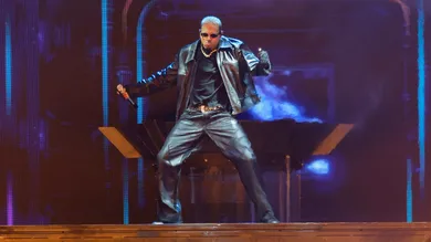 Chris Brown Invites Fan Onstage Dissed Ex Diamond