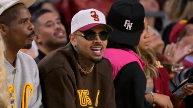 Chris Brown Wants New Trial Losing Dog Attack Case