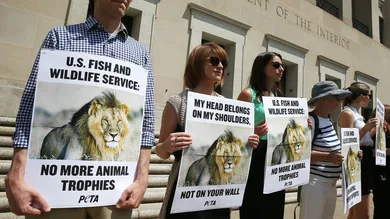 Mark Wilson/Getty Images