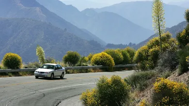 David McNew/Getty Images