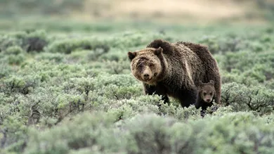 Dukas/Universal Images Group/Getty Images