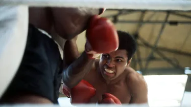 Allsport UK/ALLSPORT