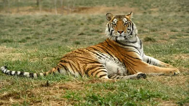 Helen H. Richardson/MediaNews Group/The Denver Post via Getty Images