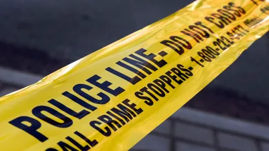 Andrew Francis Wallace / Contributor / Getty Images