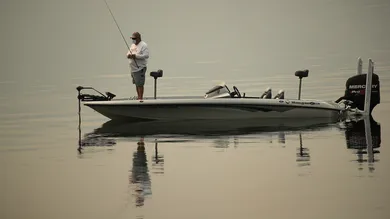 Justin Sullivan/Getty Images