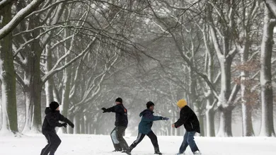 David Rogers/Getty Images