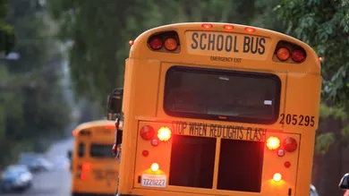 David McNew/Getty Images