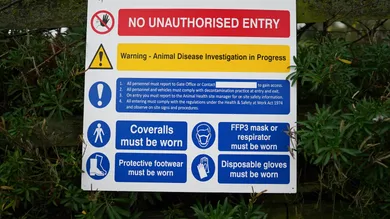 Photo by Ian Forsyth/Getty Images