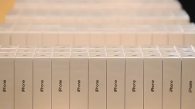 Photo by Sean Gallup/Getty Image