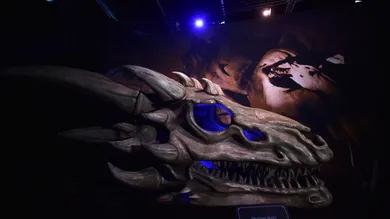 Charles McQuillan/Getty Images