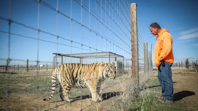 Marc Piscotty/Getty Images