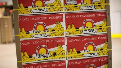 Jack Taylor/Getty Images