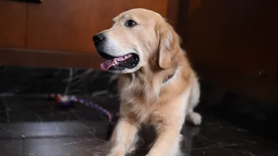 Jamie McCarthy/Getty Images