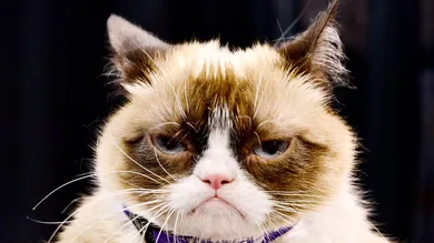 Jerod Harris/Getty Images