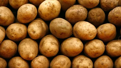 Chip Somodevilla/Getty Images