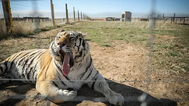 Marc Piscotty/Getty Images