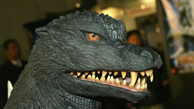 Kevin Winter/Getty Images