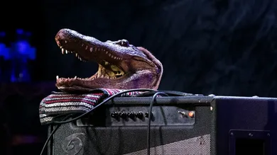 Debra L Rothenberg/Getty Images