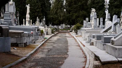 Carlos Alvarez / Getty Images