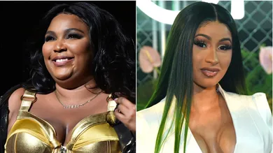 Theo Wargo/Getty Images /Presley Ann/Getty Images