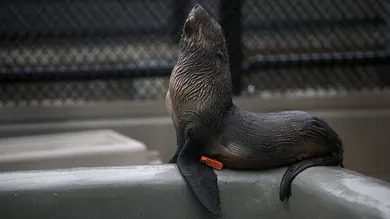 Justin Sullivan/Getty Images