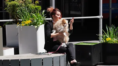 Cindy Ord / Staff / Getty Images