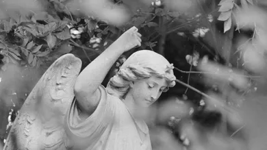 John Downing / Stringer / Getty Images