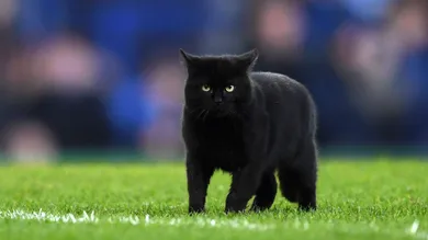 Gareth Copley/Getty Images