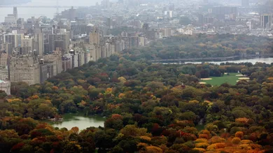 Mario Tama / Staff / Getty Images