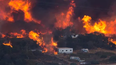 David McNew/Getty Images