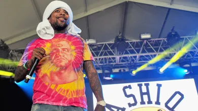 FilmMagic/FilmMagic for Bonnaroo Arts And Music Festival/Getty Images