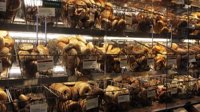 Spencer Platt/Getty Images