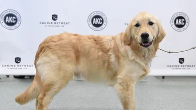 Jamie McCarthy/Getty Images