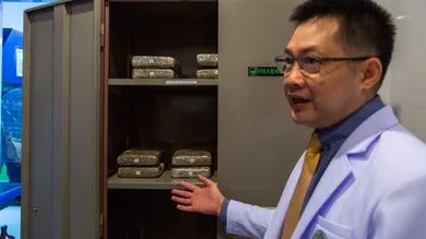 Lauren DeCicca/Getty Images